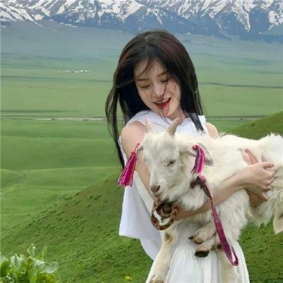 龙珠超